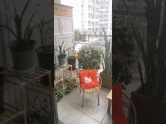 Acier inoxydable de qualité 316 avec clip de sécurité croisé pour grille de balcon invisible