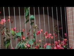 Acier inoxydable de la protection de l'enfance 316 invisibles de gril de balcon