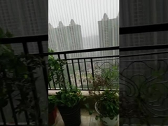 Accueil Invisible Grilles de sécurité fixes Fil anti-rouille Pour la sécurité des enfants et des animaux de compagnie