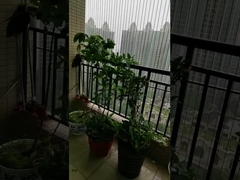 Grilles de balcon à vue dégagée avec une capacité de 100 kg Grille de balcon invisible