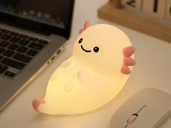 Lampe de nuit multifonctionnelle avec charge USB et source d'alimentation à batterie