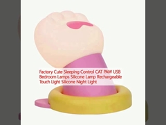 Fabricant de lampes de chambre USB