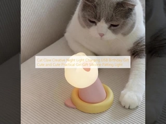 Lumière de nuit créative chargée USB Cadeau d'anniversaire mignon et mignon Cadeau pratique pour fille Silicone Patting Light