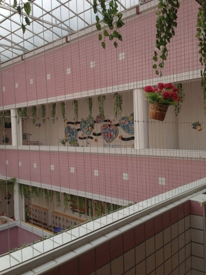 316 Fils en acier inoxydable avec grille de balcon invisible revêtue de nylon