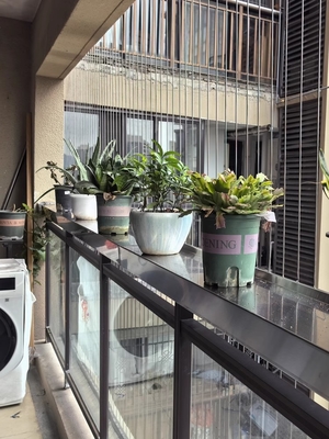 Grilles de balcon en fil d'acier à rouleaux de 3 mm avec une capacité de 100 kg