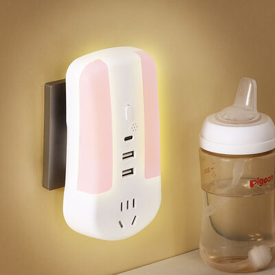 Gestion et distribution d'électricité par prise électrique portable